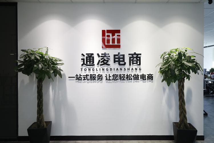 南京通凌电子商务